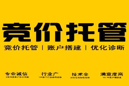成功sem公司的策略与执行